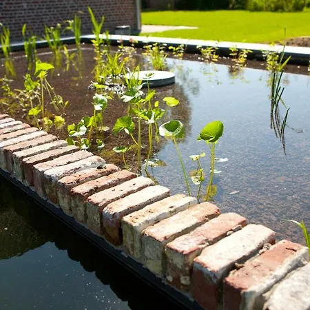 De Deugdzonde Bed & Breakfast Sint-Denijs